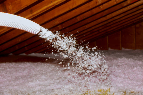 Best Attic Insulation Installation  in Bogalusa, LA